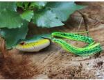 Rapture Dancer Frog 45mm 1/4Oz(7g) Weed (187-10-010)