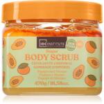 Idc Institute Papaya and Mango testpeeling 470 g