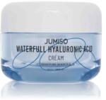 Jumiso Waterfull Hyaluronic Cream 50 ml
