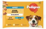 PEDIGREE Adult Choice of Flavors 4x100 g nedves teljes értékű táplálék felnőtt kutyák számára csirkével, halal zselében
