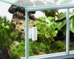 DIVERSA Üveg Terrárium 40x30x30 cm / 36L (MO-DI119511)