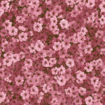 Takoy Prémium pamut NELA mini virágok wildflower Dance pink