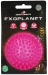 DOG COMETS Exoplanet Spiky Ball M Pink