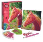 Sentosphère Art & Creations Gyémántfestő Vászon - Ló