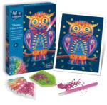 Sentosphère Art & Creations Tableau A Diamanter - Bagoly