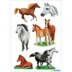 HERMA Dekormatrica lovak (3553) (3553)