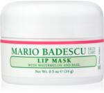 Mario Badescu Lip Mask with Watermelon and Basil mască hidratantă pentru buze 14 g Masca de fata
