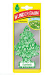 Wunder-Baum autóillatosító Everfresh 5g (30202942) (WU30202942) - aqua