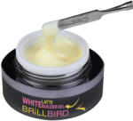 Brillbird LATTE GEL - Latte Műköröm építőzselé - Babyboomer technikához is 50ml TF