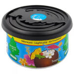 Wunder-Baum , Fiber Can, Tropical (30881055) (30881055) - aqua