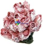 Szer-Ber ktCsőkorall akvárium dekoráció