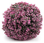  Mű bukszus, gömb dekoráció, ciklámen levelekkel, 38 cm (016P-38 pachysandra)