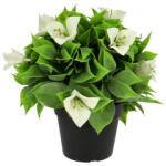  Cserepes művirág, murvafürt, fehér virágokkal és zöld levelekkel, 20 cm (2019LF)