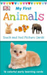 Dk Pub My First Touch and Feel Picture Cards: Animals | DK