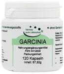 El Compra Garcinia - Гарциния Камбоджа, 120 капсули El Compra (4412834 EC)