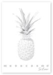 Pigna Monocromo Silver A/4 38 lapos tűzött vonalas füzet (P1111-1290)