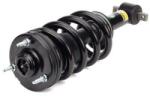 Arnott amortizor Arnott SK-2954 (SK-2954) - automobilus