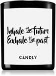 Candly & Co Candly & Co. Inhale the future ароматна свещ 250 гр
