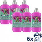Coccolino Snapdragon & Patchouli 6 × 1275 ml Öblítő