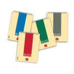 PIGNA Jegyzettömb spirálos styl A/4 sima 60 lapos (0215628BI) (0215628BI)