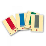 PIGNA Jegyzettömb styl A/4 vonalas 70 lapos (02137481R) (02137481R) - aqua