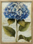  Keret Fali Plakát Hydrense Vintage Style 70x100 Cm