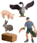Rappa Set de joacă Rappa - Animale de fermă în cutie, 5 piese (217690) Figurina