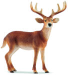 Schleich Figurina Schleich Wild Life America - Cerb cu coada alba (14818-02960) Figurina