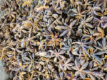 Paleolit Csillagánizs egész 1kg Star Anise