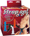 You2Toys Strap-On Colour - set de strap-on în 4 piese cu 3 dildo-uri interschimbabile (colorat)