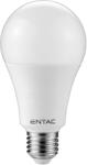 Entac LED Globe E27 18W CW 6400K (LLG27-18W-CW) (LLG27-18W-CW)