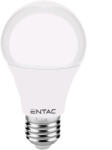 Entac LED Globe E27 10W CW 6400K (LLG27-10W-CW) (LLG27-10W-CW)