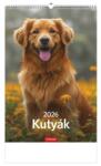 TopTimer Naptár, fali, TOPTIMER Kutyák (26T9400-10A) - molnarpapir