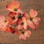 Magnolia csokor, 44cm magas - Narancssárga (AF176-02)