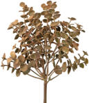 Valex Decor Eukaliptusz műnövény ág, 33cm magas - Ekrü (AF117-01)
