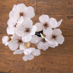 Magnolia csokor, 44cm magas - Fehér (AF176-05)