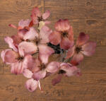 Magnolia csokor, 44cm magas - Lila/Barack (AF176-01)