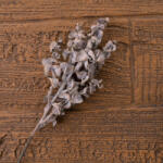 Valex Decor Eukaliptusz ág, 44cm magas - Púder barna (AF175-03)