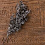 Valex Decor Eukaliptusz ág, 44cm magas - Sötét barna (AF175-01)