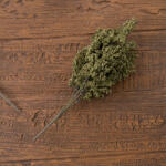 Valex Decor Bogyós ág, 39cm magas - Zöld (AF177-01)