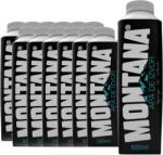 Montana - Apa de Izvor plata 12 buc. x 0.5L - Tetra Pack