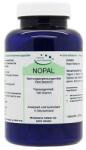 El Compra Нопал кактус (Nopal), 100 g прах El Compra (02652072 EC)