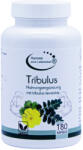 El Compra Либидо - Трибулус Терестрис (Tribulus), 500 mg х 180 капсули (7621254 EC)