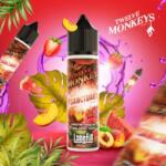 Twelve Monkeys , Sanctuary , Aroma Concentrata , 10ml/60ml , Vape Lichid rezerva tigara electronica