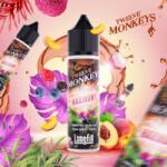 Twelve Monkeys , Harmony , Aroma Concentrata , 10ml/60ml , Vape Lichid rezerva tigara electronica