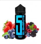 5 Elements , Longfill, Deutschland 10ml pentru 120 ml - Berry Mint Lichid rezerva tigara electronica