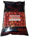 DOVIT Prémium Bojli 20mm 1kg - Gammarus