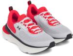 Under Armour Férfi futócipő Under Armour INFINITE ELITE 2 szürke 3028169-019 - EUR 44 | UK 9 | US 10 Férfi futócipő