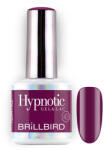 BrillBird TPO FREE Hypnotic HEMA Free Gel&Lac 8ml 43