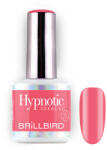 BrillBird TPO FREE Hypnotic HEMA Free Gel&Lac 8ml 29